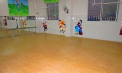 广州番禺区东沙幼儿园舞蹈室pvc运动好色先生TV传媒
