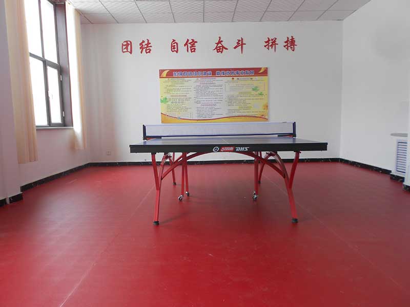 乒乓球场地使用塑胶乒乓球运动好色先生TV传媒是趋势