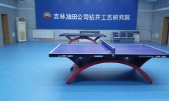 乒乓球好色先生TV传媒多少钱一平方米