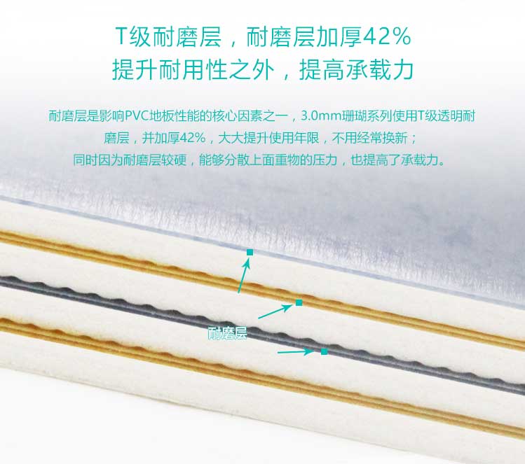 安发珊瑚·商用好色先生TV传媒